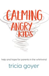 Calming Angry Kids: Help and Hope for Parents in the Whirlwind - eBook