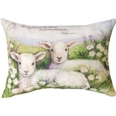 His Sheep He Makes Pillow