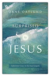 Surprised by Jesus: Subversive grace in the four Gospels