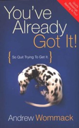 You've Already Got It!: So Quit Trying to Get It - eBook