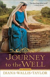 Journey to the Well: A Novel - eBook