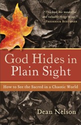 God Hides in Plain Sight: How to See the Sacred in a Chaotic World - eBook