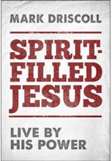 Jesús lleno del Espíritu, Filled With the Spirit of Jesus