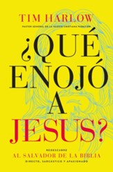 ¿Qué enojó a Jesús?  (What Made Jesus Mad?) eBook
