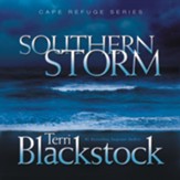 Southern Storm Audiobook [Download]