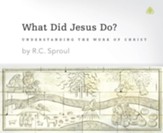 What Did Jesus Do? - Unabridged Audiobook [Download]