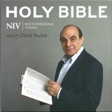 NIV, New Testament Audio Bible, Audio Download Audiobook [Download]