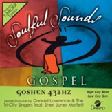 Goshen 432HZ [Music Download]