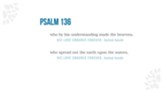 Who Wrote the Psalms & Why? [Video Download]