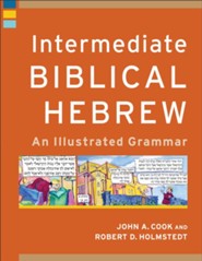 Intermediate Biblical Hebrew: An Illustrated Grammar