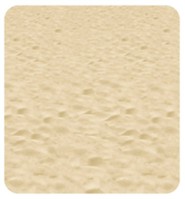 Beach Plastic Backdrop (30' x 4')