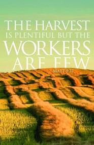 Harvest Is Plentiful (Matthew 9:37, NIV) Bulletins, 100
