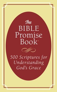 The Bible Promise Book: 500 Scriptures for Understanding God's Grace
