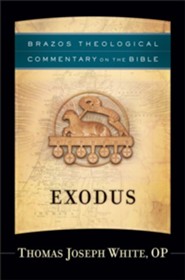 Exodus (Brazos Theological Commentary on the Bible) - eBook