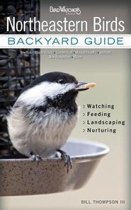 Northeastern Birds: Backyard Guide, Watching, Feeding, Landscaping, Nurturing