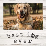 Dog-Lover Gifts
