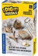 Real Fossils Excavation Kit