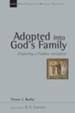 Adopted into God's Family: Exploring a Pauline Metaphor - eBook