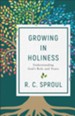 Growing in Holiness: Understanding God's Role and Yours - eBook