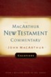 Galatians: The MacArthur New Testament Commentary - eBook