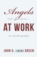 Angels at Work: God's Providence...An Autobiography - eBook