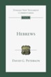 Hebrews: An Introduction and Commentary - eBook