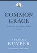 Common Grace (Volume 3): God's Gifts for a Fallen World - eBook