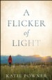 A Flicker of Light - eBook