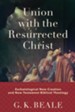 Union with the Resurrected Christ: Eschatological New Creation and New Testament Biblical Theology - eBook