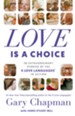 Love Is a Choice: 28 Extraordinary Stories of the 5 Love Languages in Action - eBook