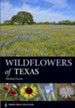 Wildflowers of Texas - eBook