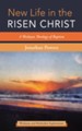 New Life in the Risen Christ: A Wesleyan Theology of Baptism - eBook