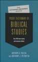Pocket Dictionary of Biblical Studies: Over 300 Terms  Clearly & Concisely Defined