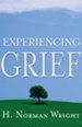 Experiencing Grief - eBook