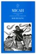 Micah: A New Translation with Introduction and Commentary