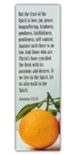 Fruit of the Spirit Bookmarks (Galatians 5:22-25) Pack of 25