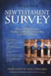 Nelson's New Testament Survey: Discovering the Essence, Background & Meaning About Every New Testament Book - eBook