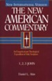1,2,3 John: New American Commentary [NAC] -eBook