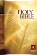 Holy Bible Text Edition NLT - eBook
