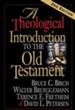 A Theological Introduction To The Old Testament - eBook