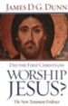 Did the First Christians Worship Jesus? - eBook