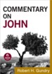 Commentary on John - eBook