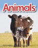 Animals - PDF Download [Download]