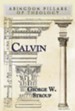 Calvin - eBook