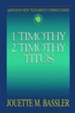 Abingdon New Testament Commentary - 1 & 2 Timothy and Titus - eBook