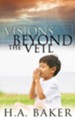 Visions Beyond The Veil - eBook