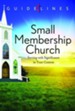 Guidelines for Leading Your Congregation 2013-2016 - Small Membership Church: Serving with Significance in Your Context - eBook