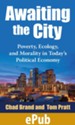 Awaiting the City: Poverty, Ecology, and Morality in Today's Political Economy - eBook