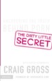 The Dirty Little Secret - eBook