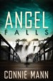 Angel Falls - eBook